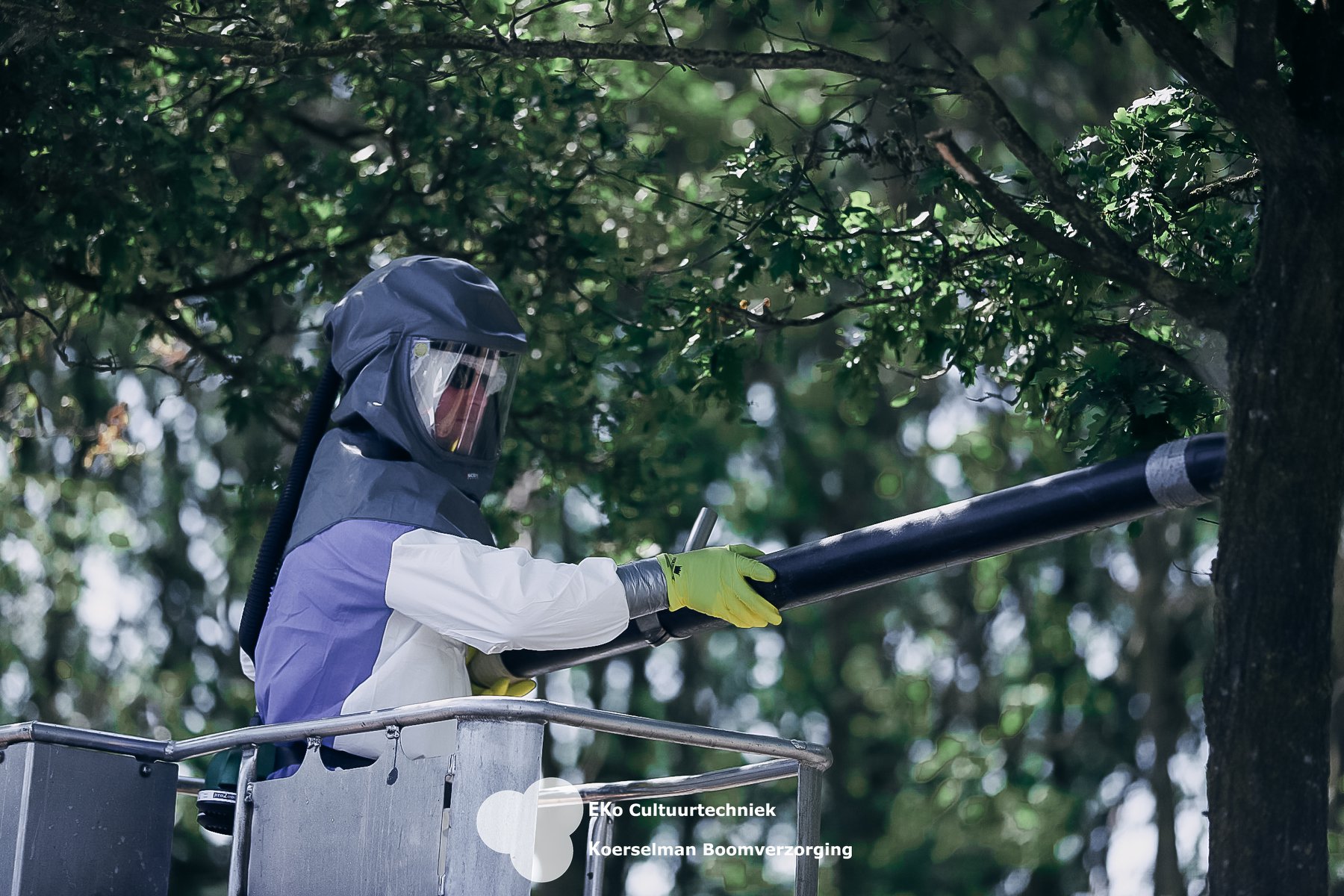 Bestrijding Eikenprocessierups